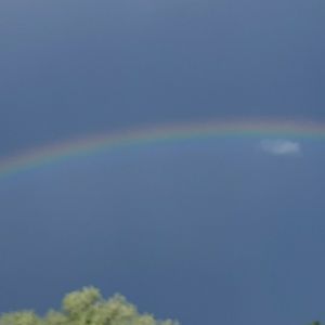 Meet your Posher, Paul